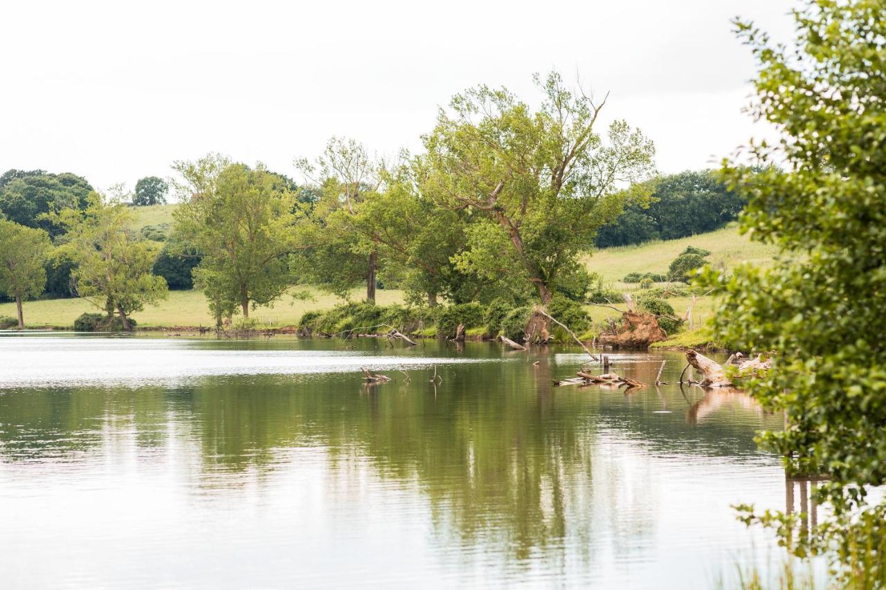 Agriturismo Lago Di Mezzano Valentano Bagian luar foto